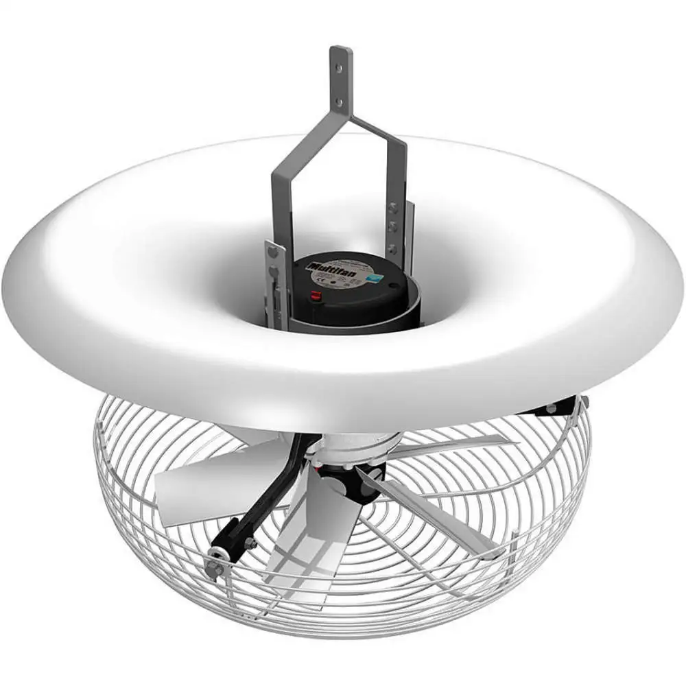 Ventilatori a soffitto