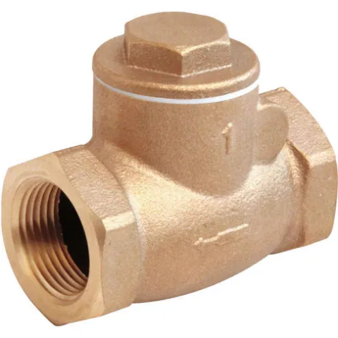 Check and Foot Valves