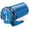 Centrifugal Pump, 2 hp, Totally Enclosed, Fan-Cooled, 1-1/2 Inch NPT Inlet