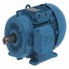 General Purpose Motor, 1 hp, 3 Phase, 3470 Rpm, 460VAC