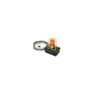 AIR SYSTEMS INTERNATIONAL 50-ALMSTAA Allarme acustico remoto, con stroboscopio | 4502745
