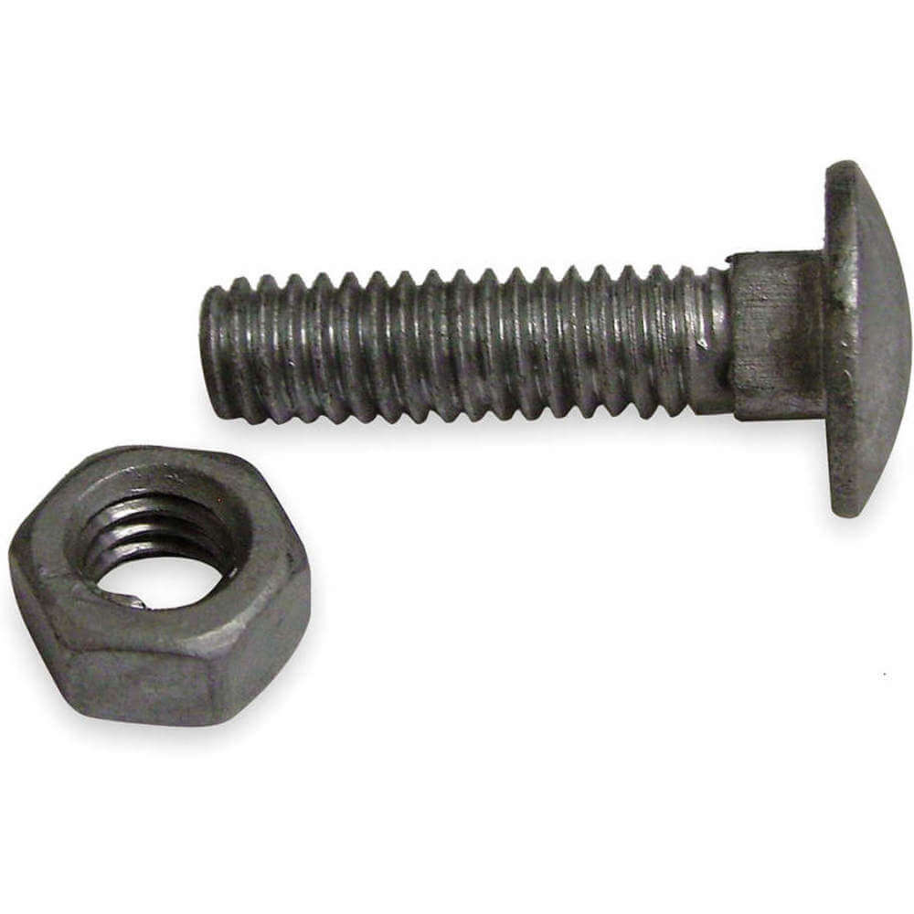 Carriage Bolts Steel 5/16 Inch Diameter - Pack Of 20