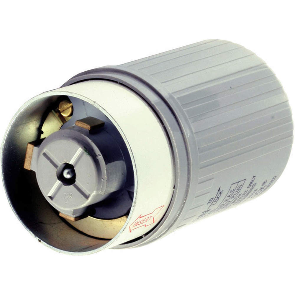 HUBBELL WIRING DEVICE-KELLEMS HBL25615 Male Plug, 60A 250V, 2-P 3-W, Non Nema, Screwterminal, Gray, With Epoxy Kit | AF7LFD 21VK99