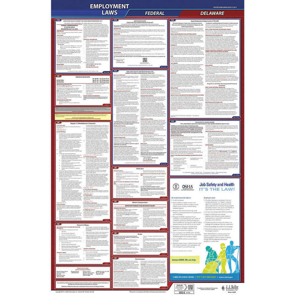 Labor Law Poster Federal and State DE ENG 26 Inch Height 3 Year
