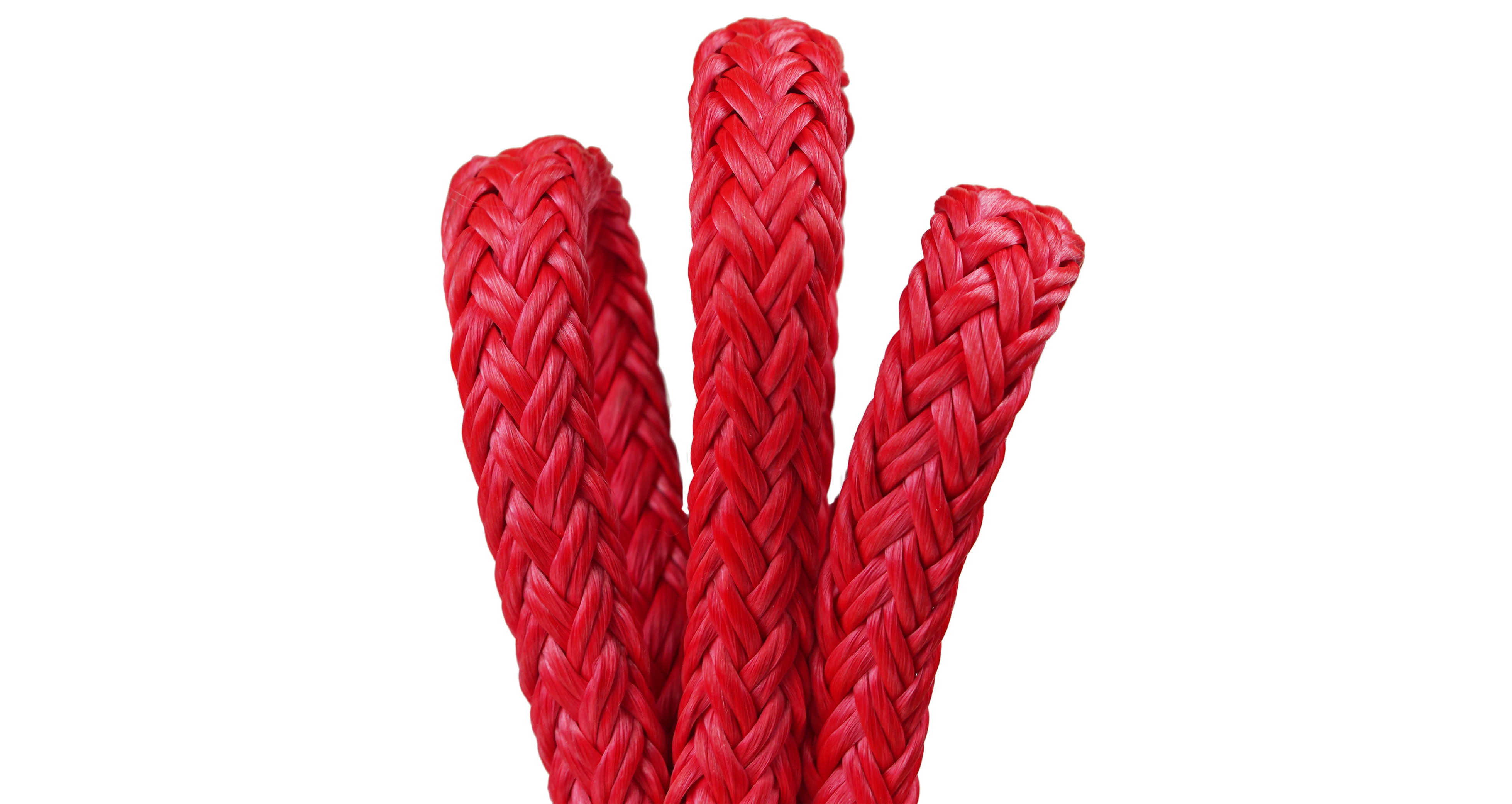 Linea di strumenti per rigging a treccia cava, 12 fili in poliestere, 600 piedi. Lunghezza, rosso