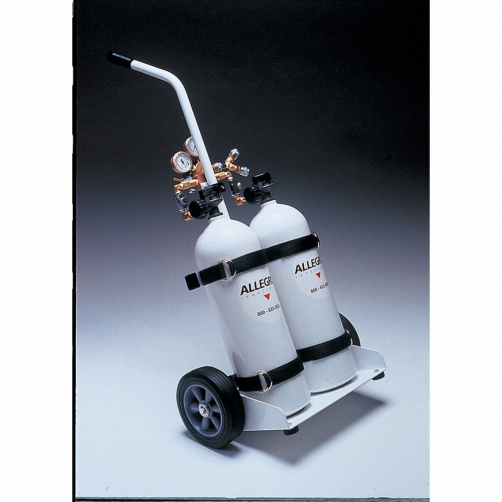 ALLEGRO SAFETY 9891-5 OBAC