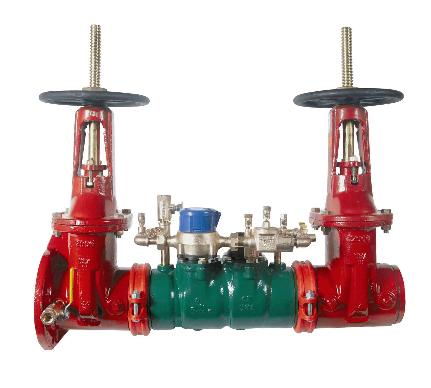 Double Check Detector Assembly, Grooved, 2.5 Inch Size, With Butterfly Valve