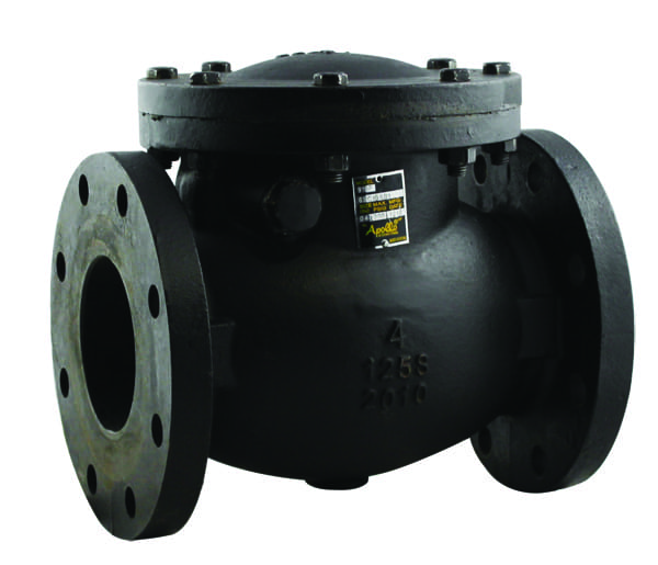 Swing Check Valve, 2-1/2 Inch Size, Class 125