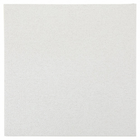 Ceiling Tile, 1920A, 24 Inch x 24 in, Concealed, 15/16 Inch Grid Size, 0.7 NRC, 33 CAC