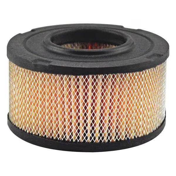 BALDWIN FILTERS PA30019 Air Filter, 2-17/32 Inch Lx4-9/32 Inch dia | CY7TKF