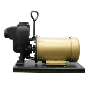 Cast Iron Close Coupled Electric Driven Pump, 5 HP, 3450Rpm, 3Phs, 2 Inch Size