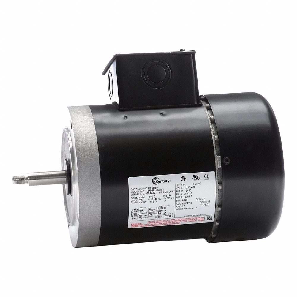 Pool and Spa Pump Motor, 60 hz