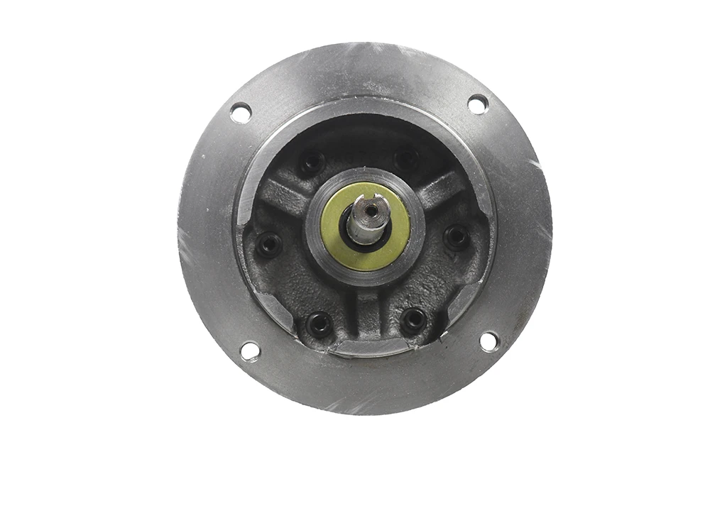 GAST 4AM-FRV-63ANLP Air Motor, 1.05 HP, 5.6 Bar Max Pressure, 2000 rpm, 1/4 Inch NPT Port Size | DZ2MRU
