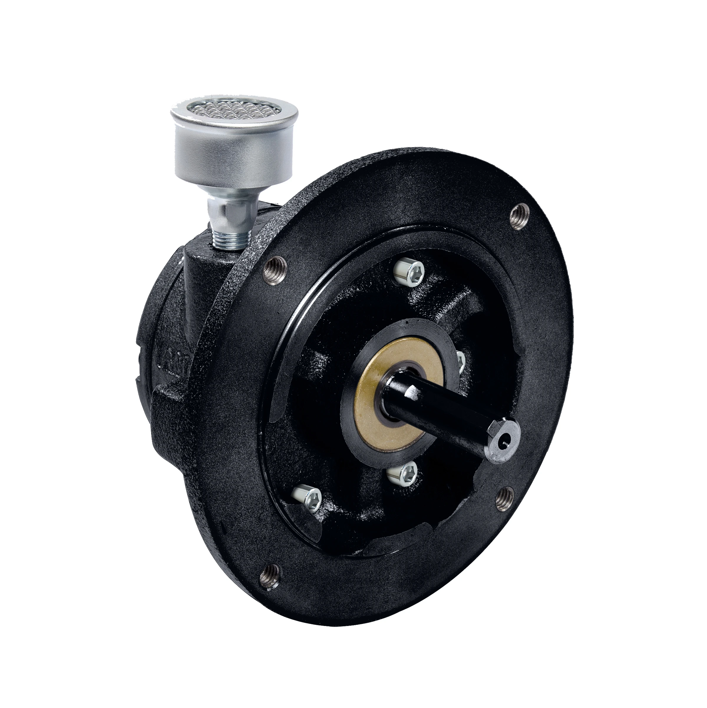 GAST 4AM-ARV-119NLP Air Motor, 1.05 HP, 5.6 Bar Max Pressure, 2000 rpm, 3/8 Inch BSPP Port Size | DZ2MRQ