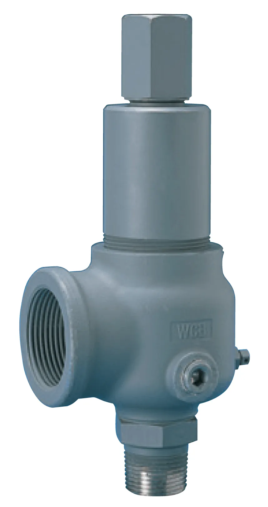 Safety Relief Valve, Male x Female NPT, 0.75 X 1.25 Inch, SS Construction, Plain