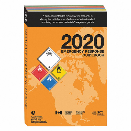 Libro de referencia, 2020 Erg, Tapa blanda, Inglés, Estándar completo