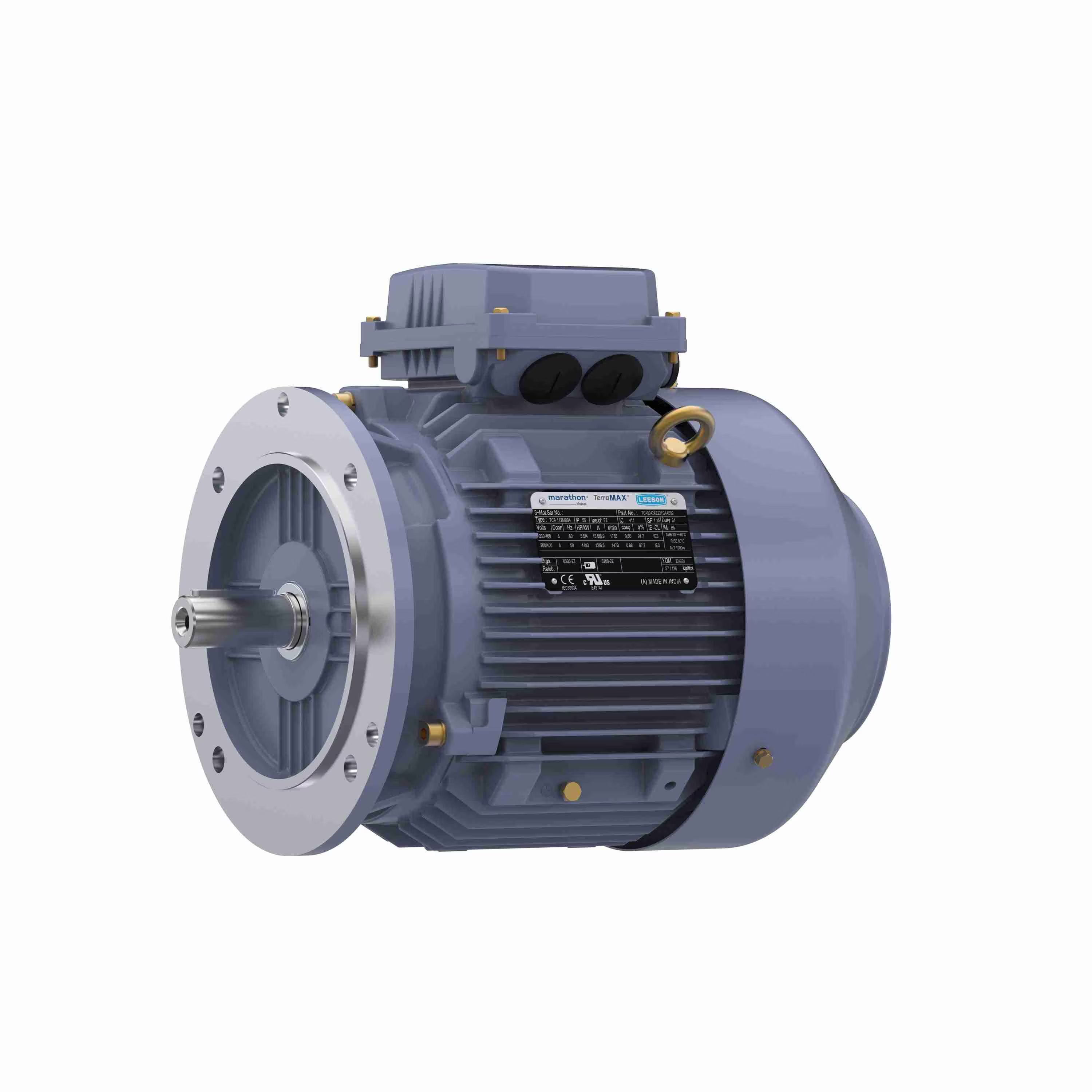 Metric Motor, 5.5 HP, 1800 RPM, 60 Hz, 230/460V