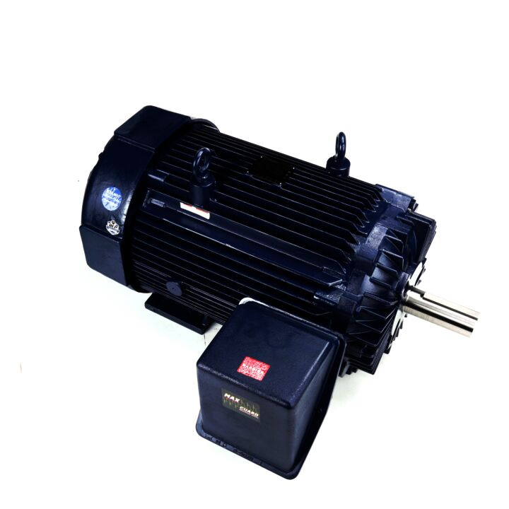 Inverter Duty Motor, 250 HP, 1800 RPM, 460 V, 60 Hz