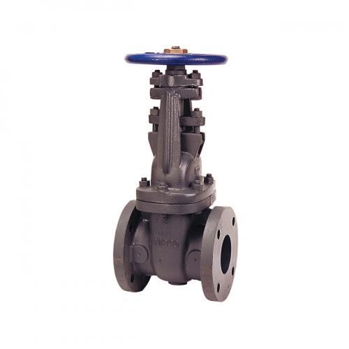 Gate Valve With PTFE Package, 2-1/2 Inch Valve Size, Flat Face Flanged, Cast Iron Body