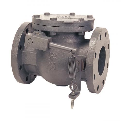 Swing Check Valve With Spring, 6 Inch Valve Size, Flanged Cast Iron Body