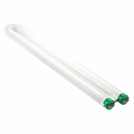 U-Bend Fluorescent Bulb, T8, 1 5/8 Inch Size Bulb Bend Radius, Medium Bi-Pin G13