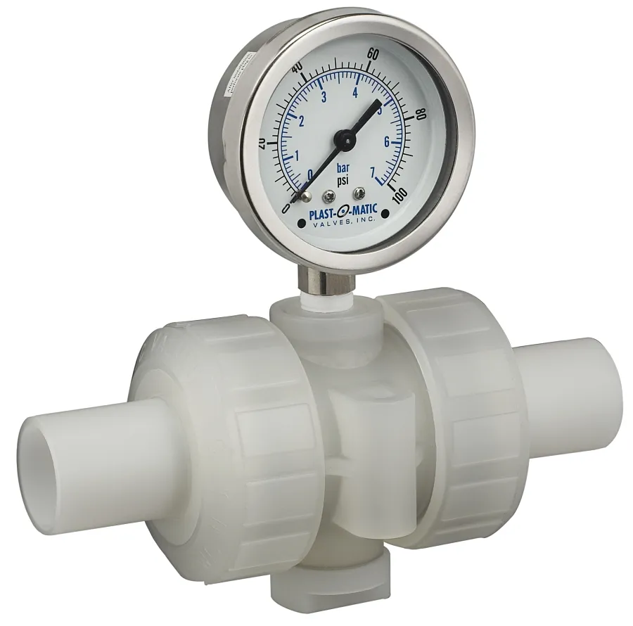 Gauge Guard, PVC, NPT Threaded Connection, FKM Seal