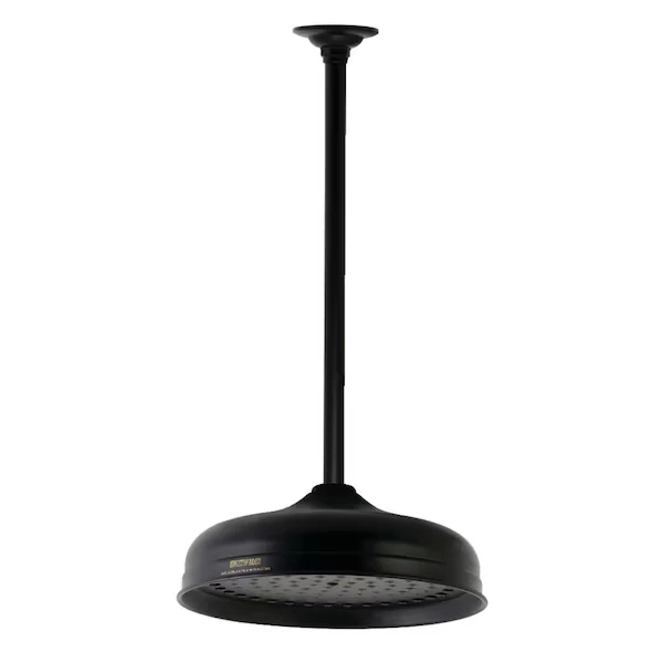 Shower Head, Matte Black, Ceiling Mount