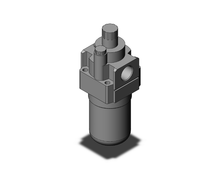 Lubricator, 1/4 Inch Size, Port