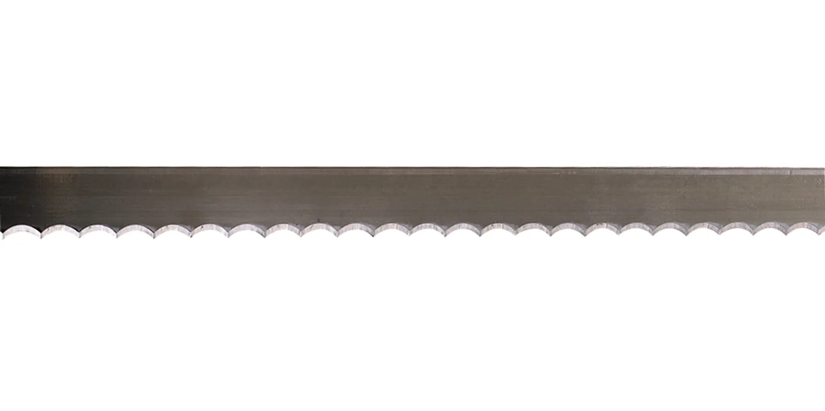 Båndknivklinge, spiralformet skæfte, 3/4 tommer bredde, kammuslingekant, 9 fod 6 tommer spiral