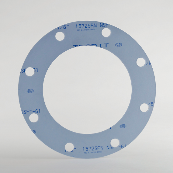 Ring Cut Gasket, Tealon 1572 SAN, 1/8 Inch Thickness, 1-1/4 Inch Size, 150# Class