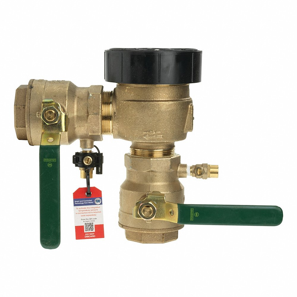 WATTS 2" LF800M4-QT Pressure Vacuum Breaker | CU9TXA 522P32