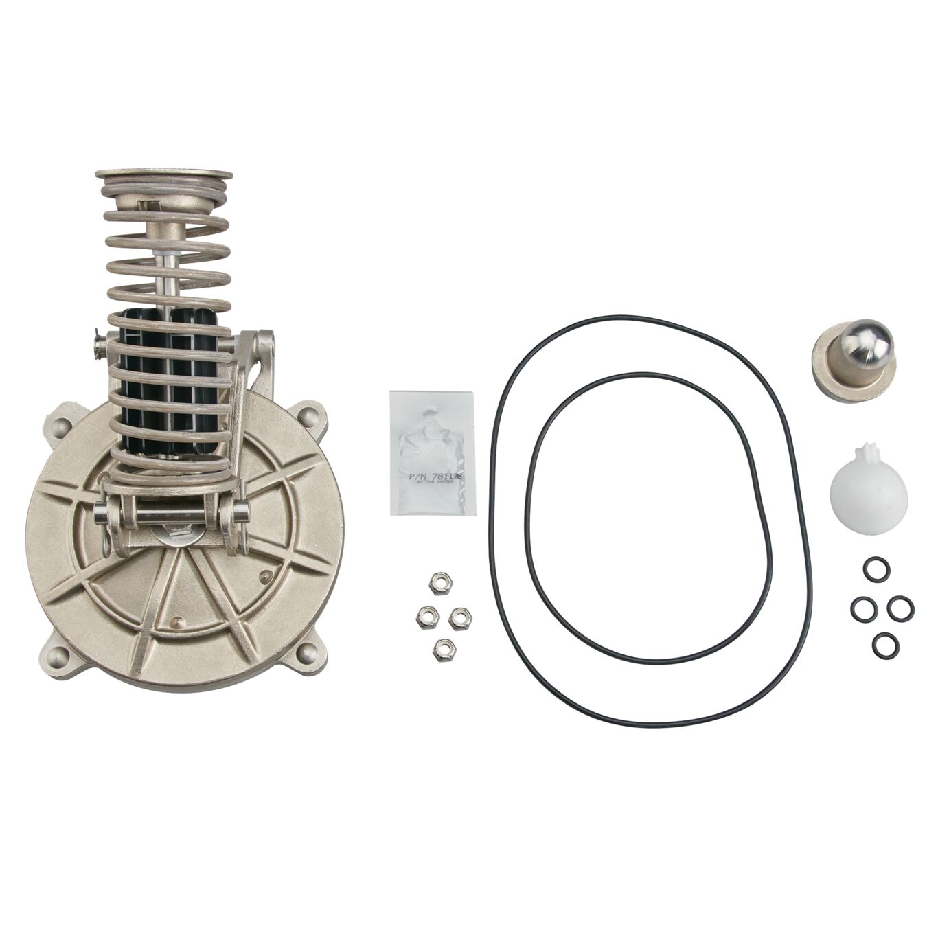 WATTS 8X6/8X6-CK2 6 Second Check Kit, 6 Inch Detector Assembly | CC6QQW 905614