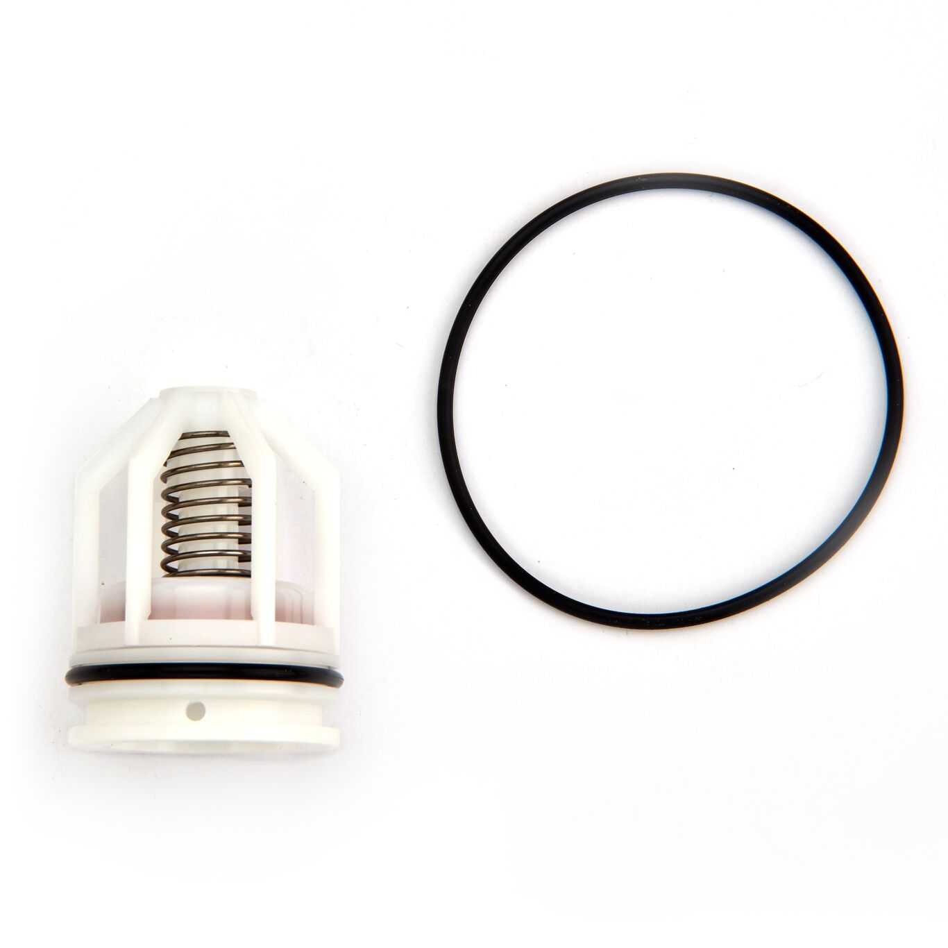 WATTS ARK 2000B-CK2 Check Kit | BY6BQW 70161408