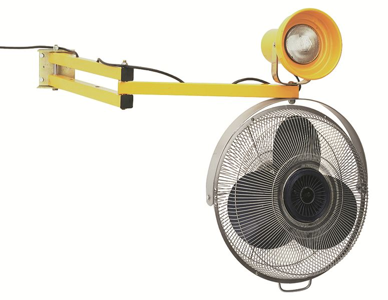 WESCO 272360 Heavy Duty Steel Dock Light And Fan With 60" Arm | AG7KGC
